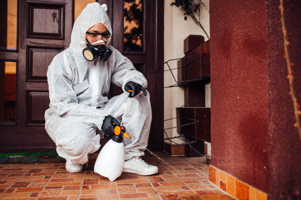 Reliable Cockroach Control contractor in Oracle, AZ by Nex Pest Control