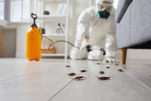 Trusted Emergency Pest Control service in Oracle, AZ - Nex Pest Control